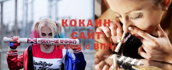 соль ск Белокуриха