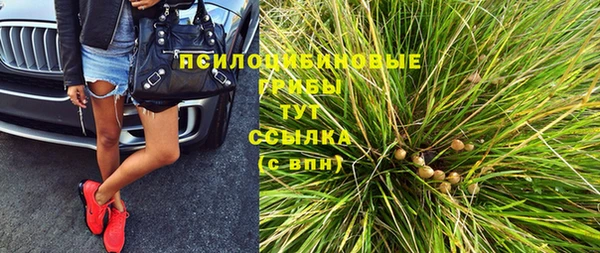 гидропоника Бородино