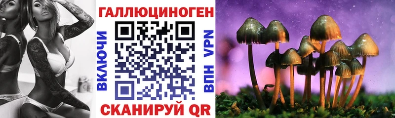 Псилоцибиновые грибы Psilocybe Кущёвская